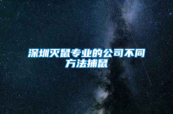 深圳滅鼠專業的公司不同方法捕鼠