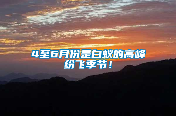 4至6月份是白蟻的高峰紛飛季節！