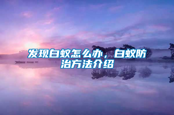 發現白蟻怎么辦，白蟻防治方法介紹