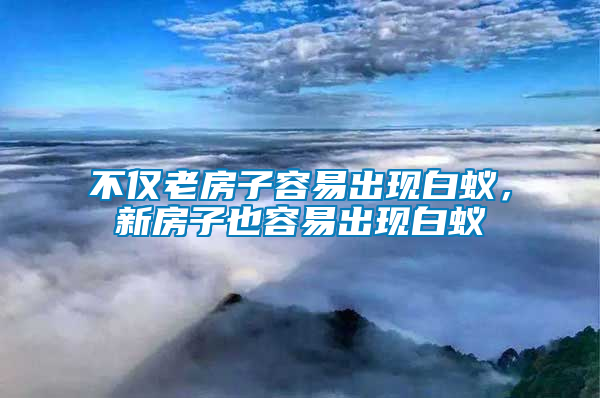 不僅老房子容易出現白蟻，新房子也容易出現白蟻