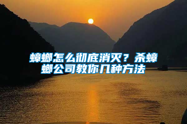 蟑螂怎么徹底消滅？殺蟑螂公司教你幾種方法