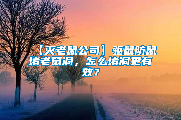 【滅老鼠公司】驅鼠防鼠堵老鼠洞，怎么堵洞更有效？