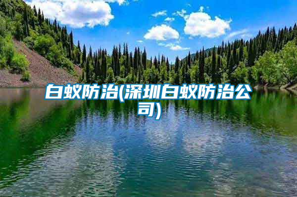 白蟻防治(深圳白蟻防治公司)