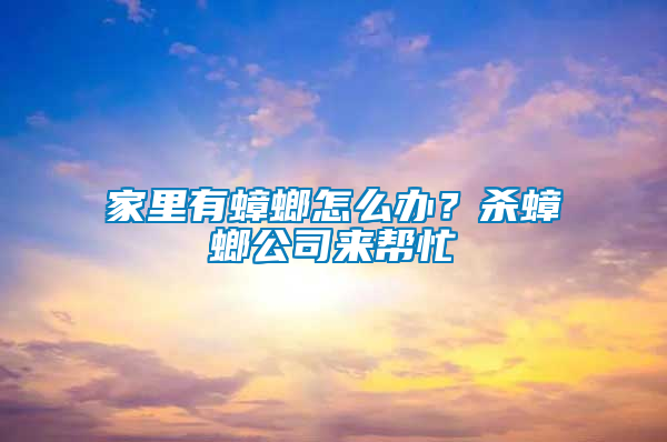 家里有蟑螂怎么辦？殺蟑螂公司來幫忙