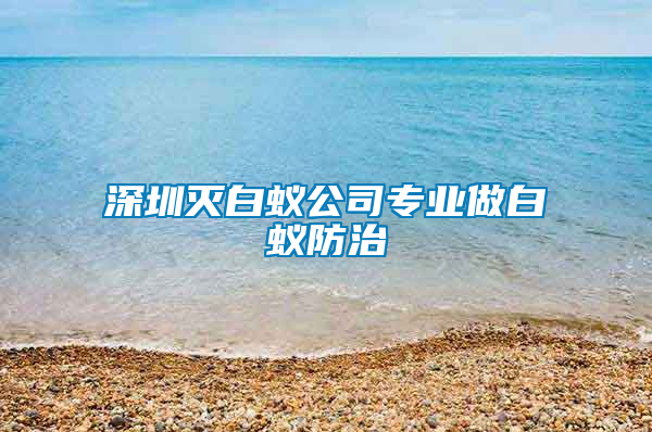 深圳滅白蟻公司專業做白蟻防治