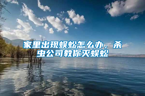 家里出現蜈蚣怎么辦，殺蟲公司教你滅蜈蚣