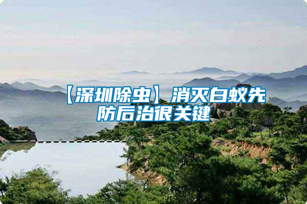 【深圳除蟲】消滅白蟻先防后治很關鍵