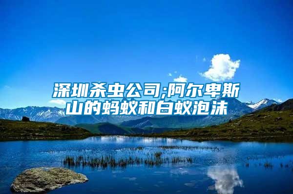 深圳殺蟲公司;阿爾卑斯山的螞蟻和白蟻泡沫