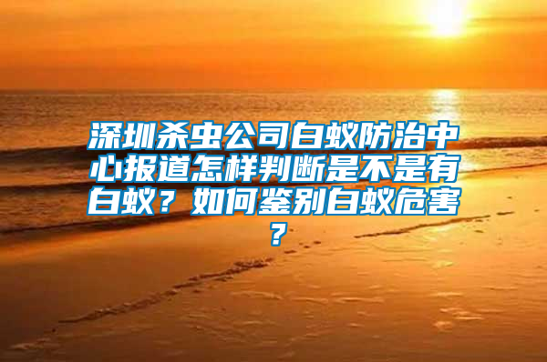 深圳殺蟲公司白蟻防治中心報道怎樣判斷是不是有白蟻？如何鑒別白蟻危害？