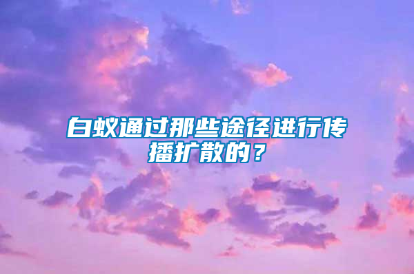 白蟻通過那些途徑進行傳播擴散的？