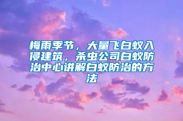 梅雨季節，大量飛白蟻入侵建筑，殺蟲公司白蟻防治中心講解白蟻防治的方法