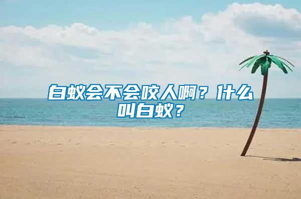 白蟻會不會咬人啊？什么叫白蟻？