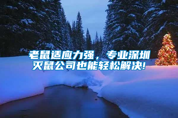 老鼠適應力強，專業深圳滅鼠公司也能輕松解決!