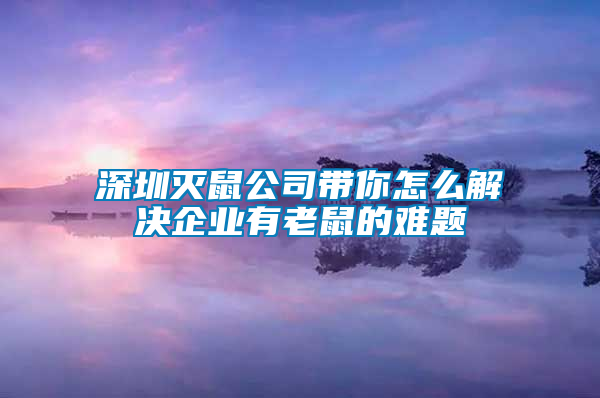 深圳滅鼠公司帶你怎么解決企業有老鼠的難題