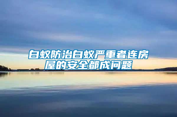 白蟻防治白蟻嚴重者連房屋的安全都成問題