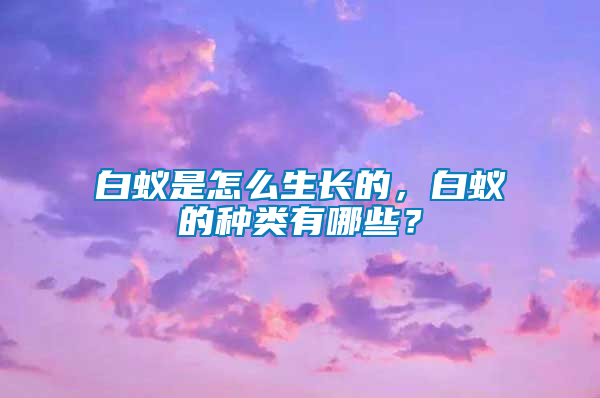 白蟻是怎么生長的，白蟻的種類有哪些？