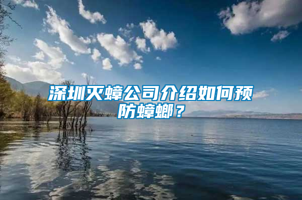 深圳滅蟑公司介紹如何預防蟑螂？