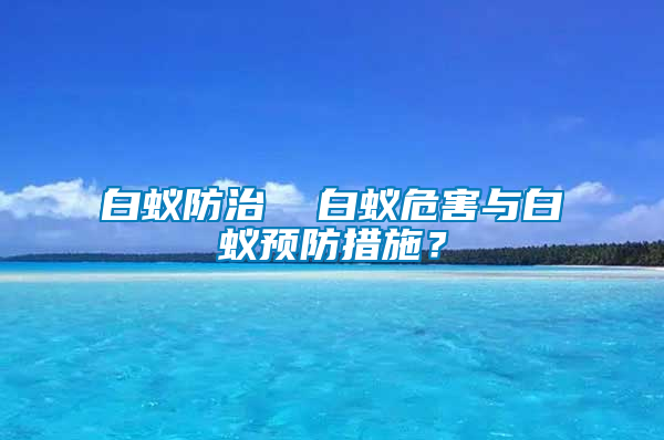 白蟻防治  白蟻危害與白蟻預防措施？