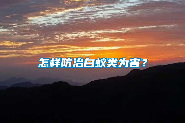 怎樣防治白蟻類為害？