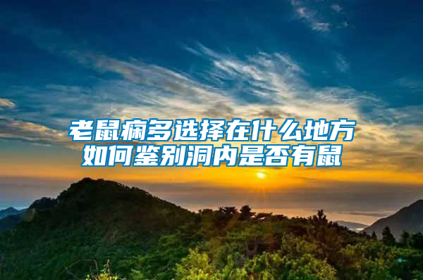 老鼠癇多選擇在什么地方如何鑒別洞內是否有鼠