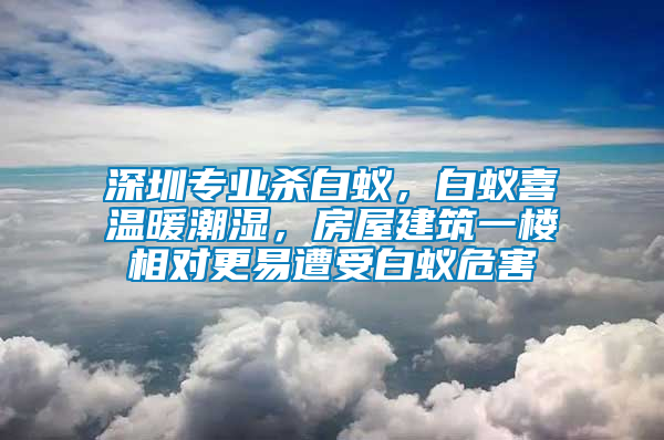 深圳專業殺白蟻，白蟻喜溫暖潮濕，房屋建筑一樓相對更易遭受白蟻危害