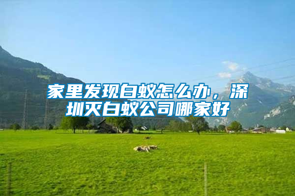 家里發現白蟻怎么辦，深圳滅白蟻公司哪家好