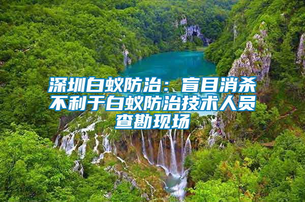 深圳白蟻防治：盲目消殺不利于白蟻防治技術人員查勘現場