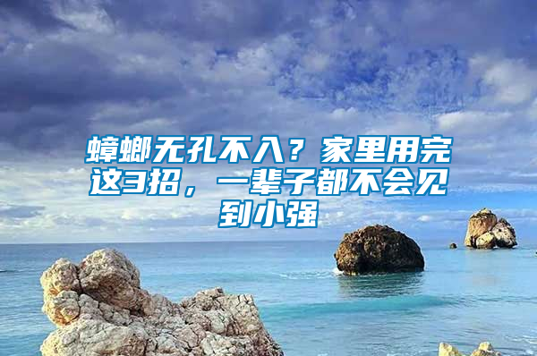 蟑螂無孔不入？家里用完這3招，一輩子都不會見到小強