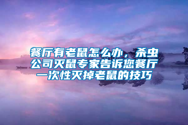 餐廳有老鼠怎么辦，殺蟲公司滅鼠專家告訴您餐廳一次性滅掉老鼠的技巧