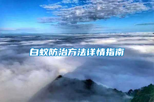 白蟻防治方法詳情指南