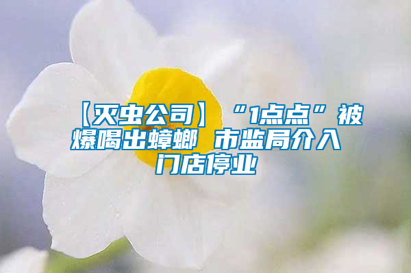 【滅蟲公司】“1點點”被爆喝出蟑螂 市監局介入門店停業