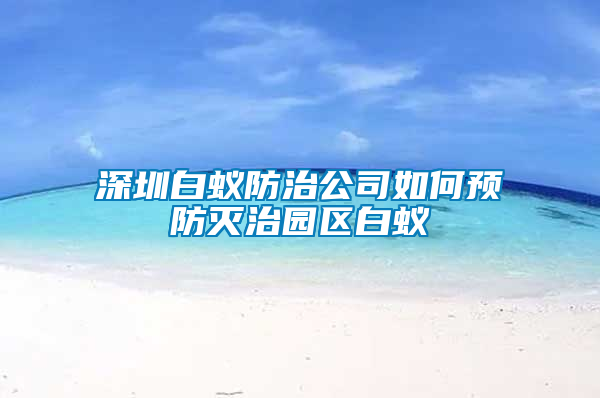 深圳白蟻防治公司如何預防滅治園區白蟻