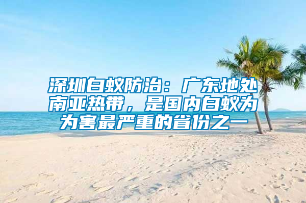 深圳白蟻防治：廣東地處南亞熱帶，是國內白蟻為為害最嚴重的省份之一