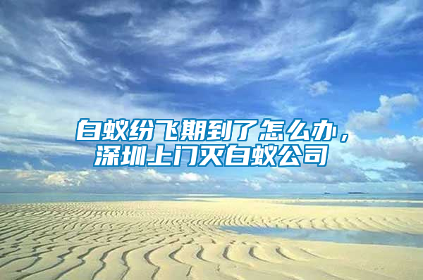 白蟻紛飛期到了怎么辦，深圳上門滅白蟻公司