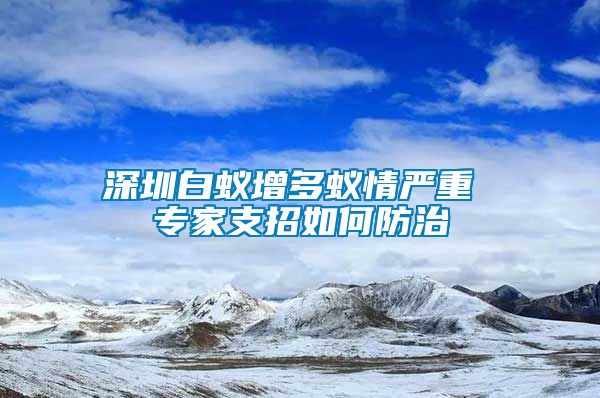 深圳白蟻增多蟻情嚴重 專家支招如何防治