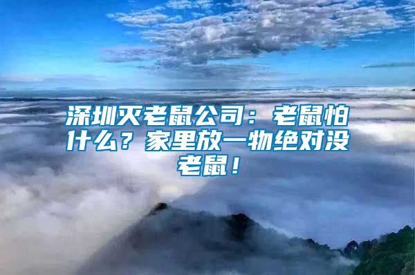 深圳滅老鼠公司：老鼠怕什么？家里放一物絕對沒老鼠！