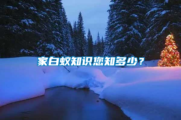 家白蟻知識您知多少？