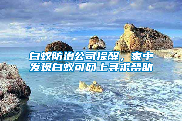 白蟻防治公司提醒，家中發現白蟻可網上尋求幫助