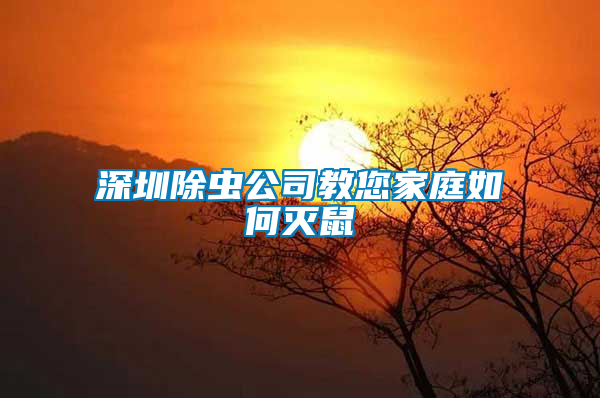 深圳除蟲公司教您家庭如何滅鼠