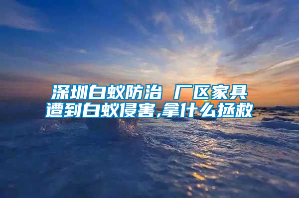 深圳白蟻防治 廠區家具遭到白蟻侵害,拿什么拯救