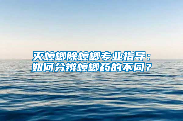 滅蟑螂除蟑螂專業指導：如何分辨蟑螂藥的不同？