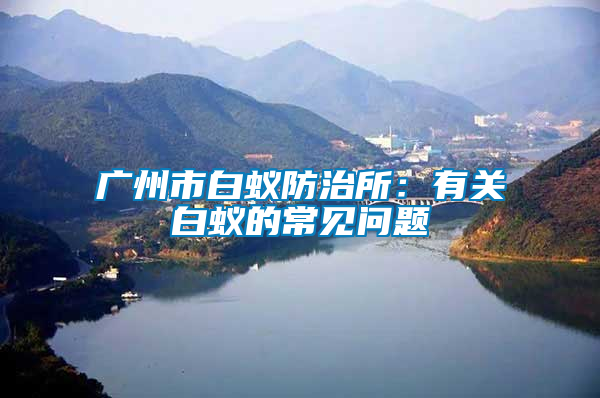 廣州市白蟻防治所：有關白蟻的常見問題