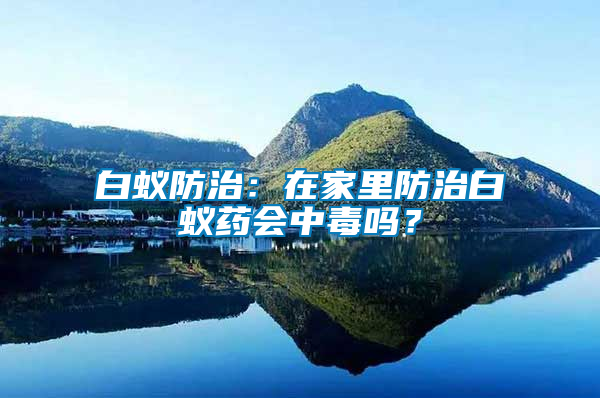 白蟻防治：在家里防治白蟻藥會中毒嗎？