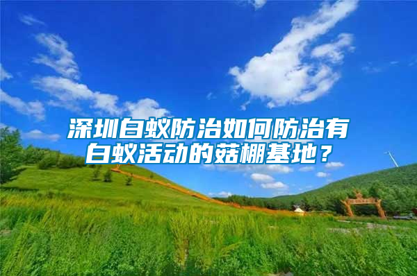 深圳白蟻防治如何防治有白蟻活動的菇棚基地？