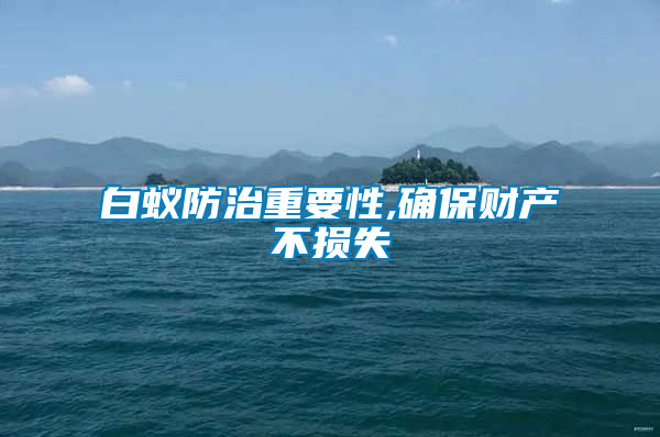 白蟻防治重要性,確保財產不損失