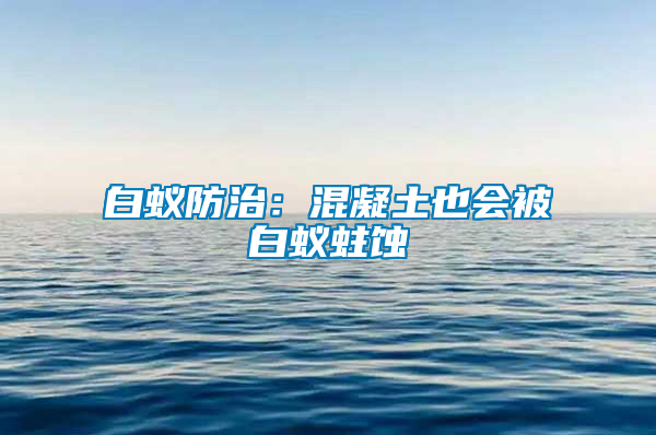 白蟻防治：混凝土也會被白蟻蛀蝕