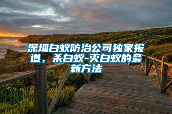 深圳白蟻防治公司獨家報道，殺白蟻-滅白蟻的最新方法