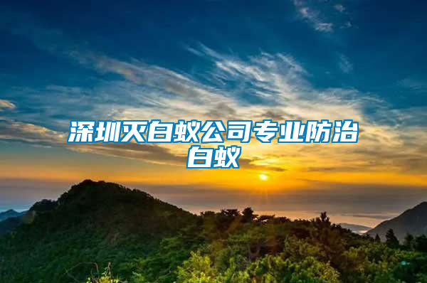 深圳滅白蟻公司專業防治白蟻