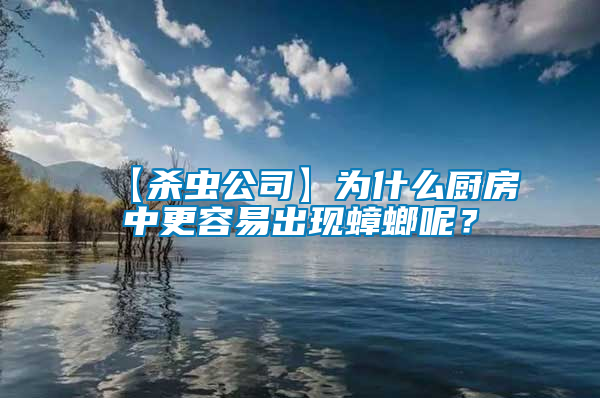 【殺蟲公司】為什么廚房中更容易出現蟑螂呢？