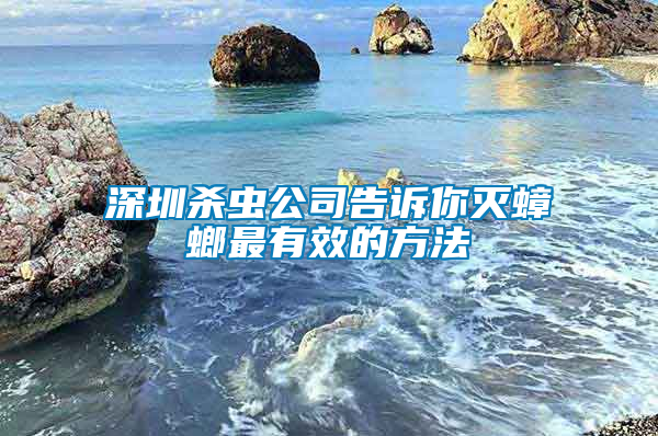 深圳殺蟲公司告訴你滅蟑螂最有效的方法